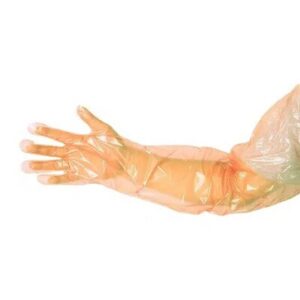 Schouderhandschoen - 80 cm | 10 stuks